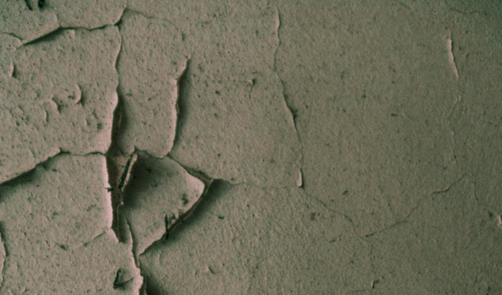 Cómo Eliminar la Humedad con Placas Antihumedad y Pintura Antihongos