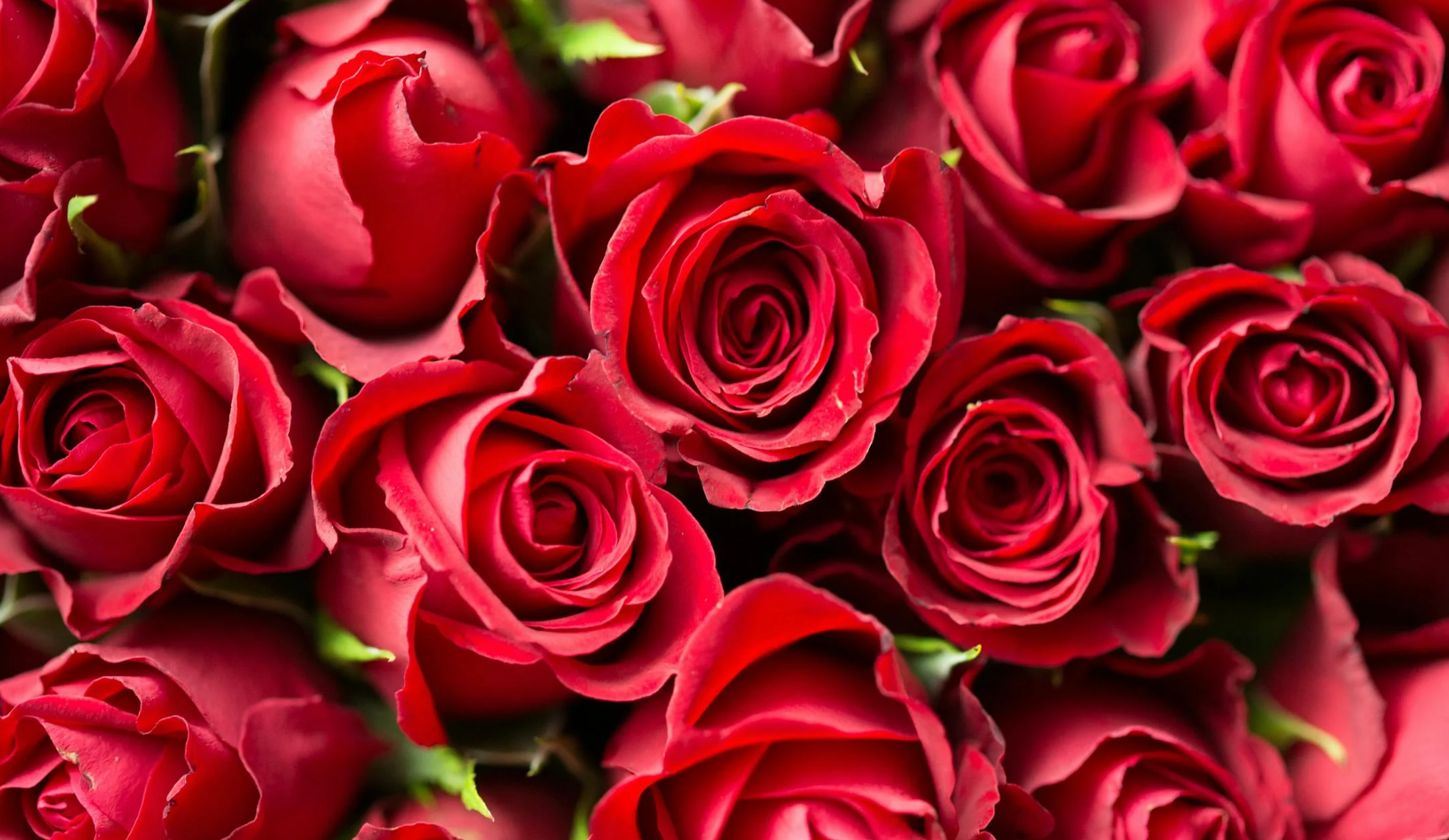 Te contamos cómo presentar un regalo que no se olvida (Especial día de la madre 2025)