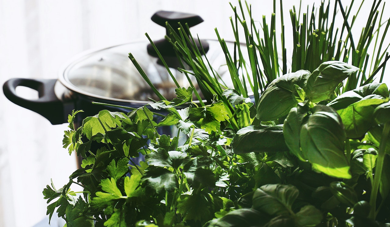 Alimentación saludable y sostenible: Cómo cultivar hierbas y vegetales frescos en casa