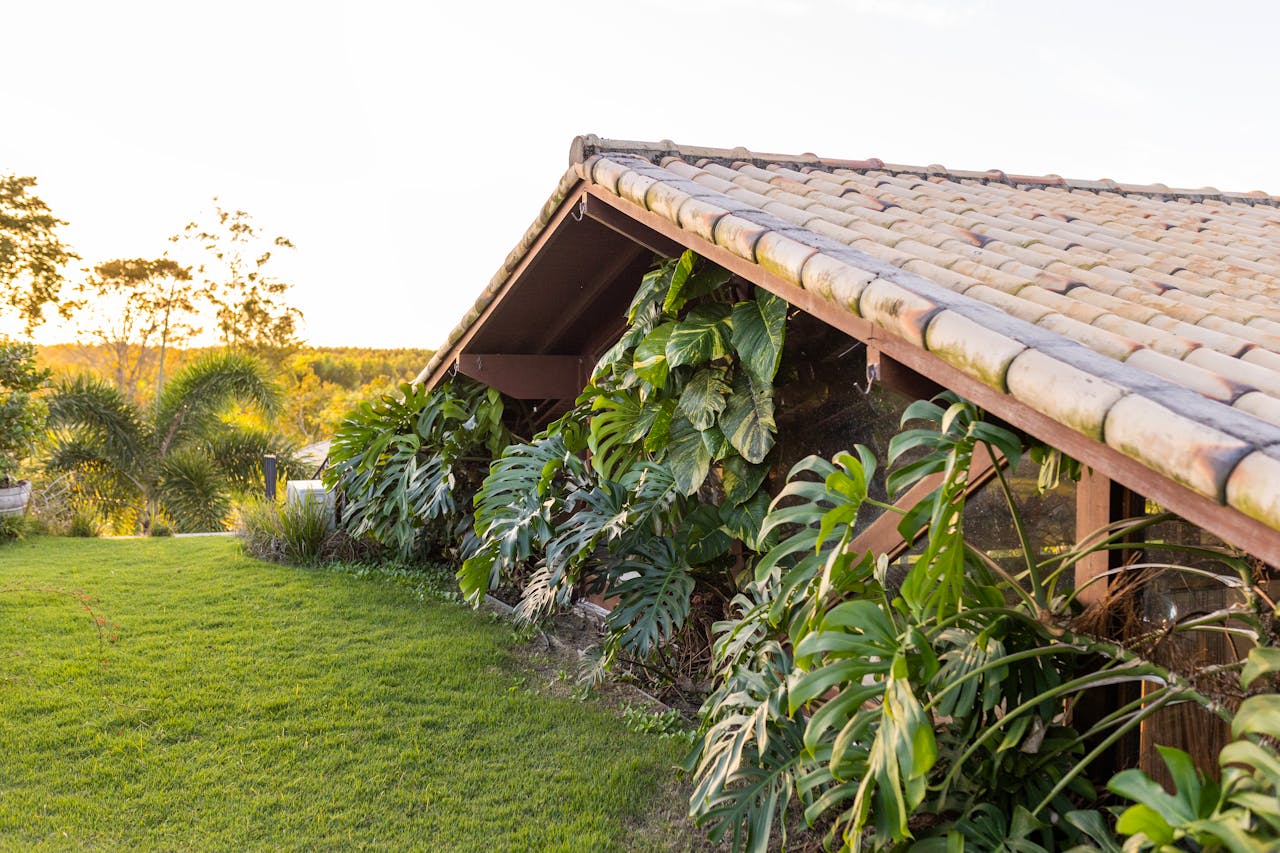 Guía Completa para Planificar y Mantener tu Jardín de Forma Eficiente