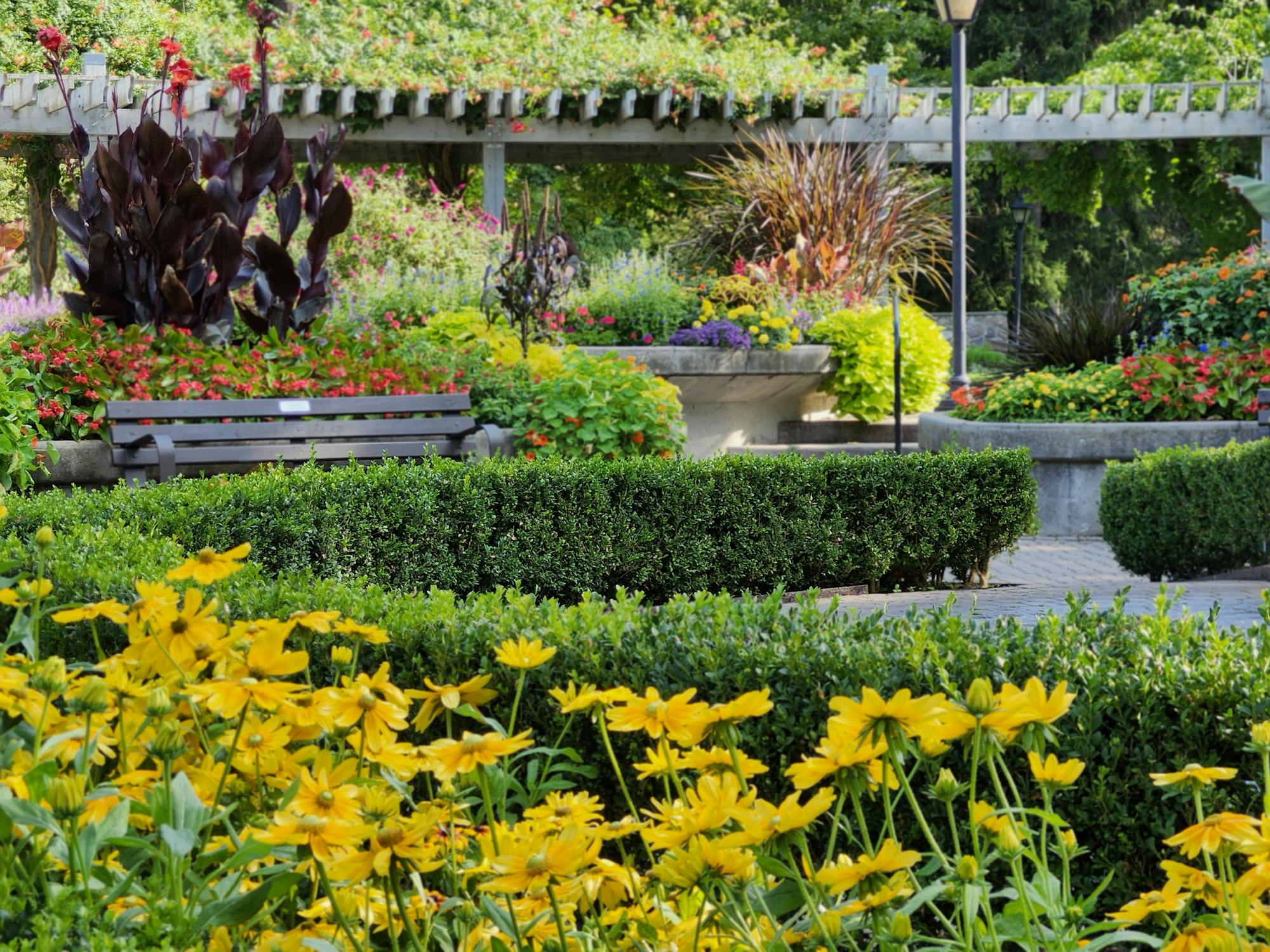 Cómo Hacer una Pérgola: Espacio Sombreado y Elegante para tu Jardín