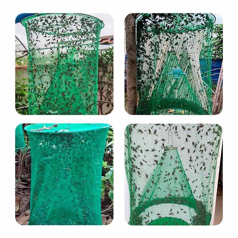 Trampa Reutilizable para Moscas