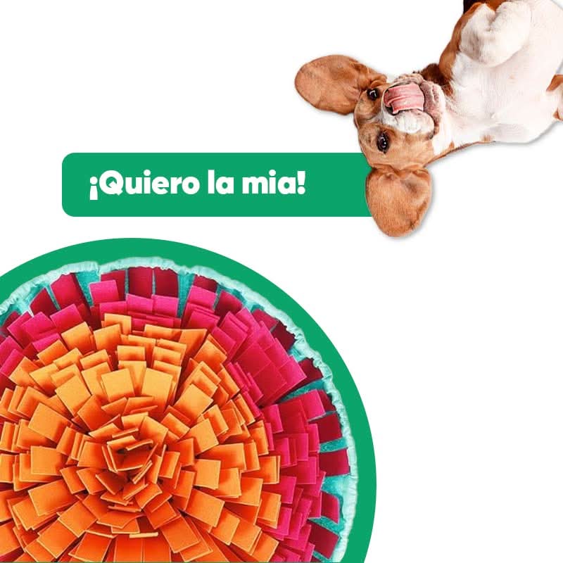 Alfombrilla de Olfateo Interactiva para Mascotas