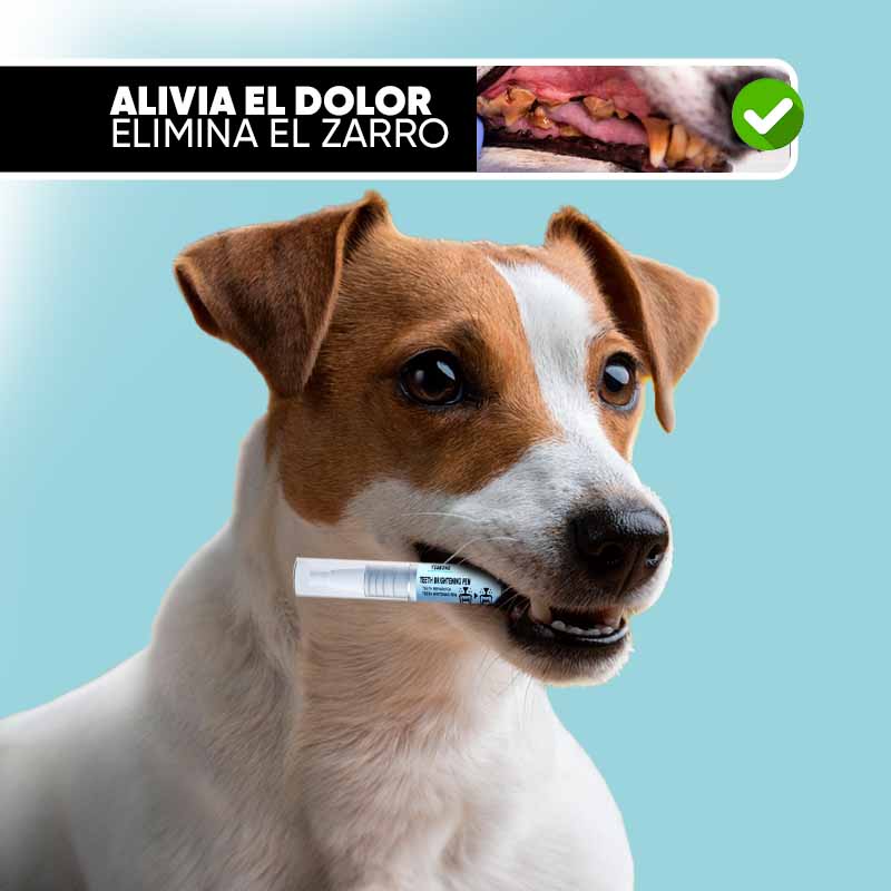 Eliminador de Sarro y Blanqueador para Mascotas