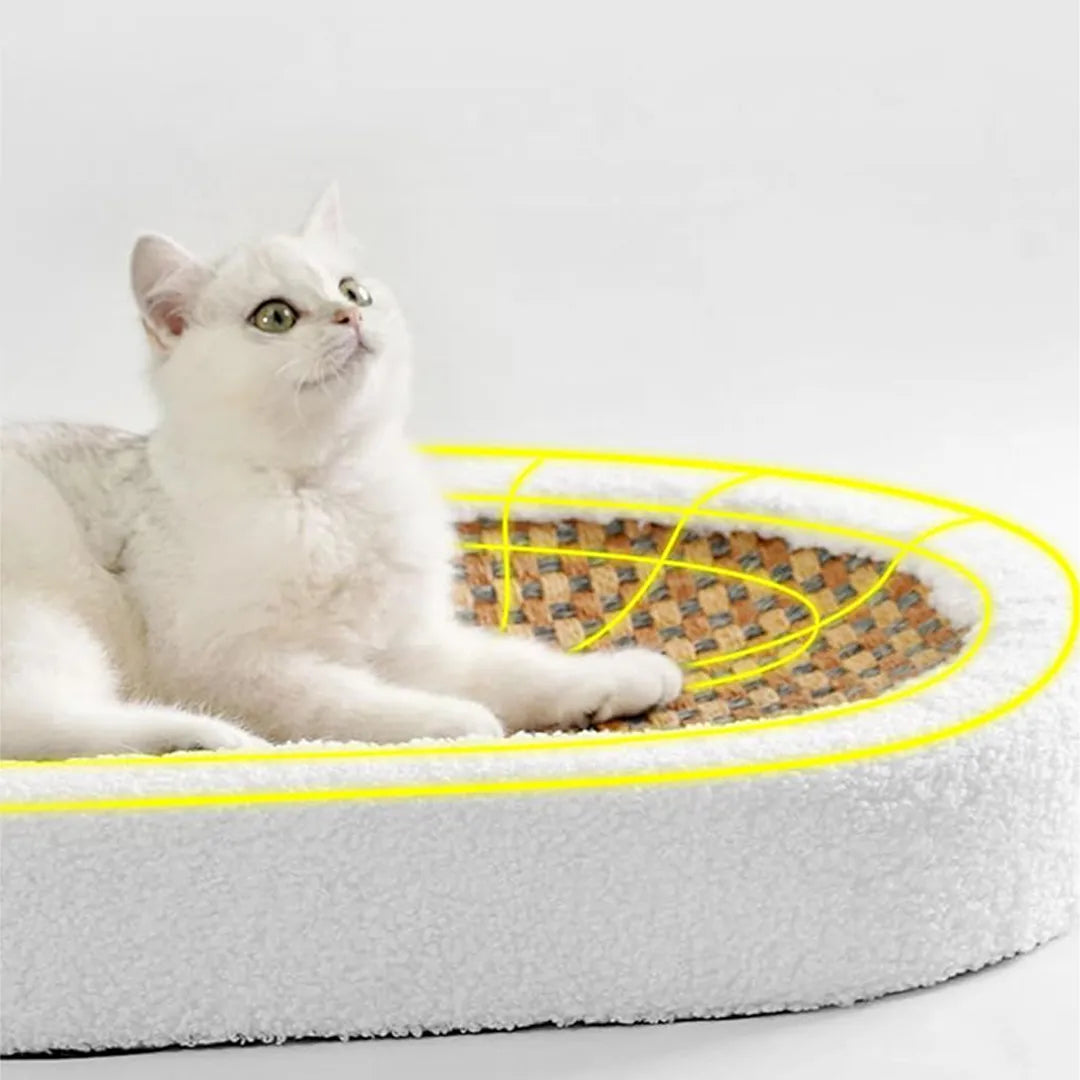 Cama Rascador 2 en 1 para Gatos Oval