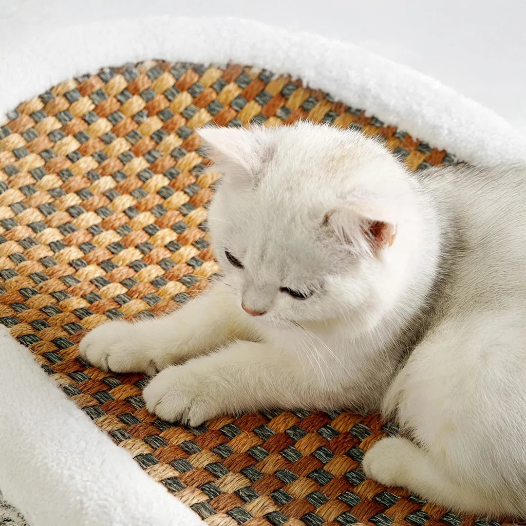 Cama Rascador 2 en 1 para Gatos Oval