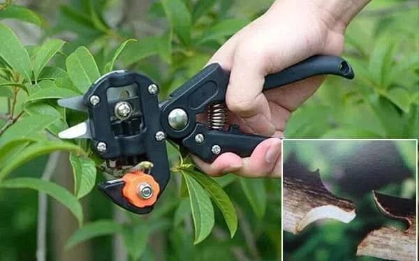 Herramienta Injerto - Mil Genial Uruguay