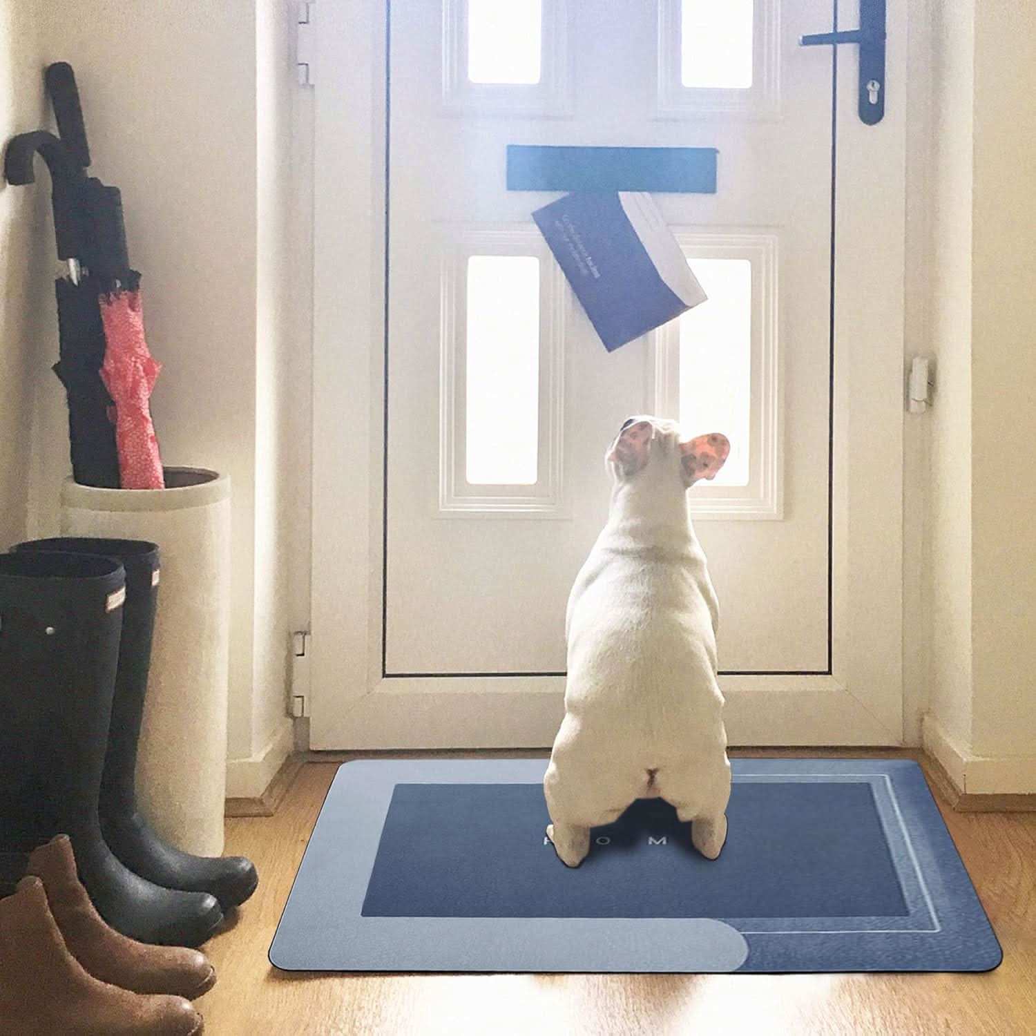 Alfombra Antideslizante Super Absorbente