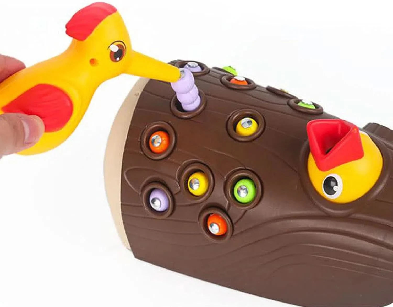 Juego Infantil Magnetico Pajaro y Gusanos