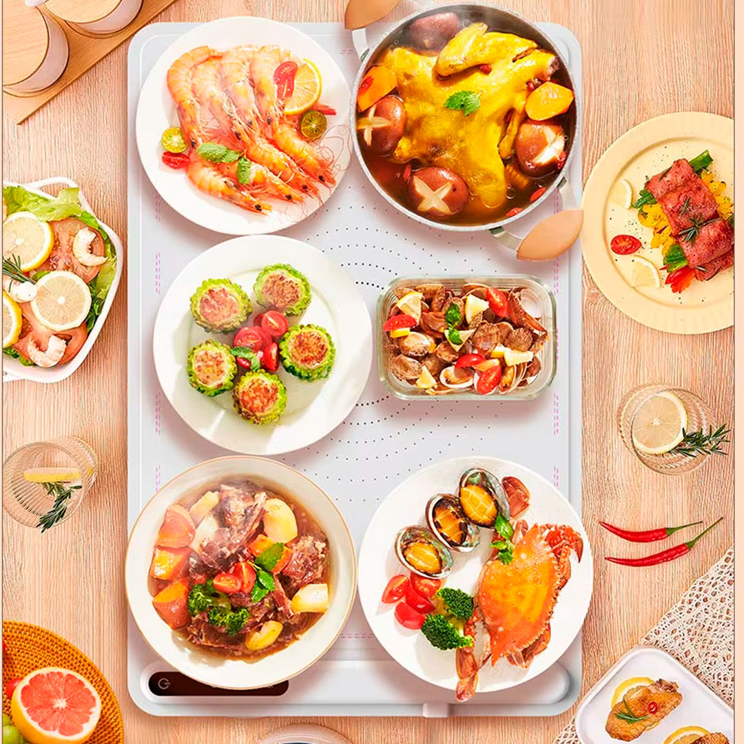 Bandeja Calentadora Eléctrica Plegable