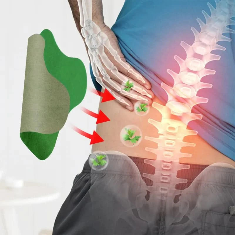 Parches de Ajenjo para el Dolor Cervical y Lumbar