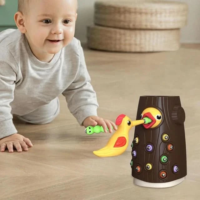 Juego Infantil Magnetico Pajaro y Gusanos