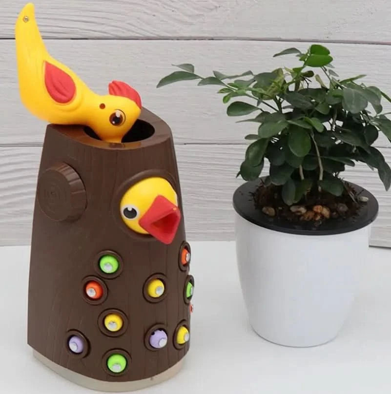 Juego Infantil Magnetico Pajaro y Gusanos