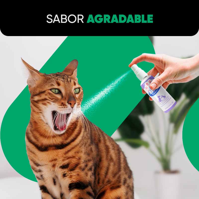 Pulverizador Bucal para Cuidado de Mascota