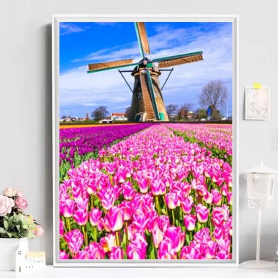 Pintura Con Diamante 5d