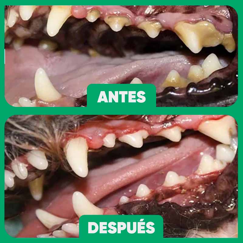 Pulverizador Bucal para Cuidado de Mascota