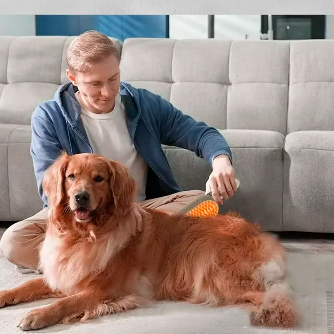 Cepillo de Peinado con Vaporizador para Mascotas