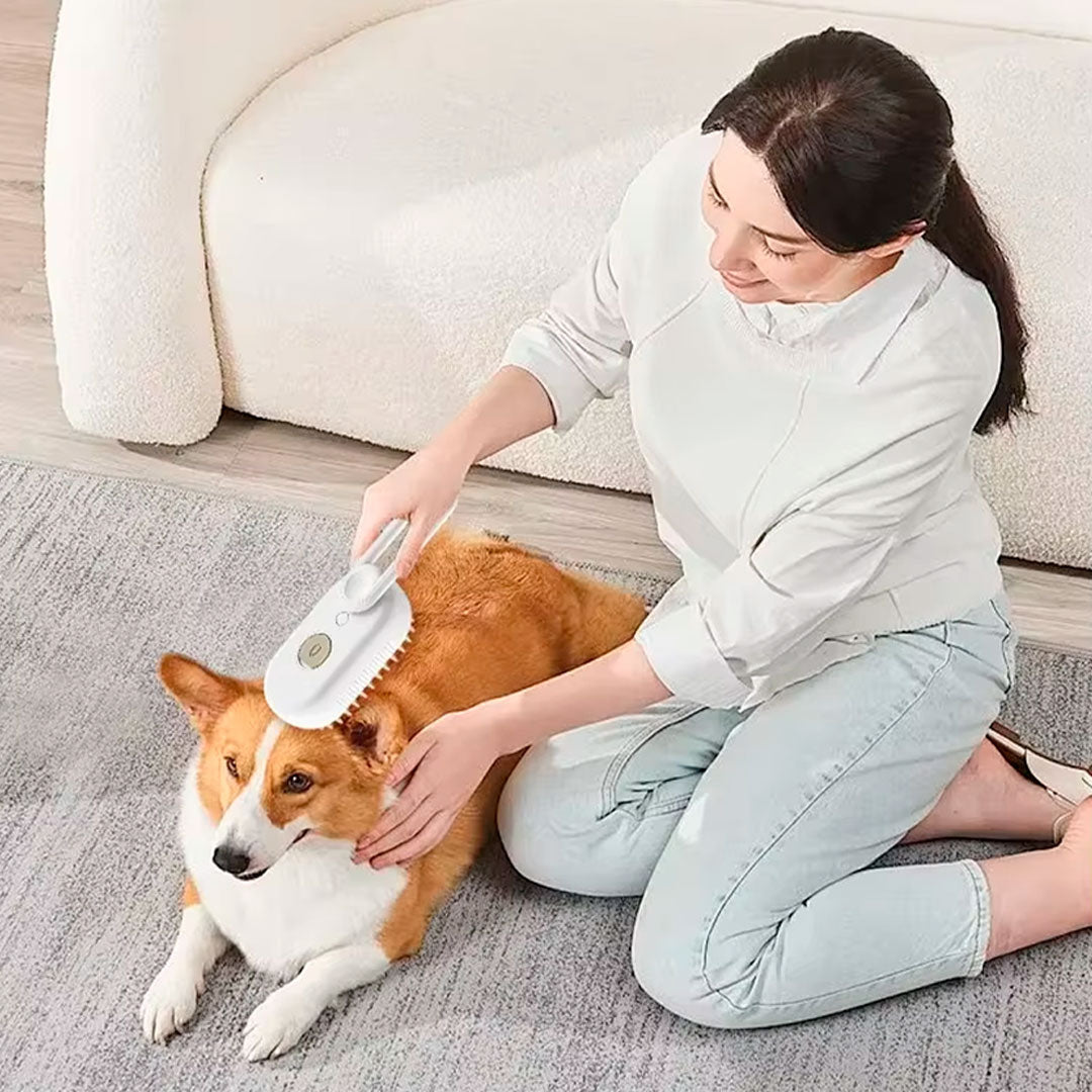 Cepillo de Peinado con Vaporizador para Mascotas
