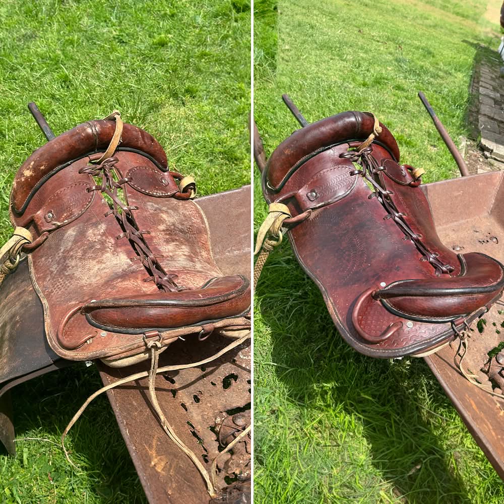 Protector y Revividor de Cuero Woowax