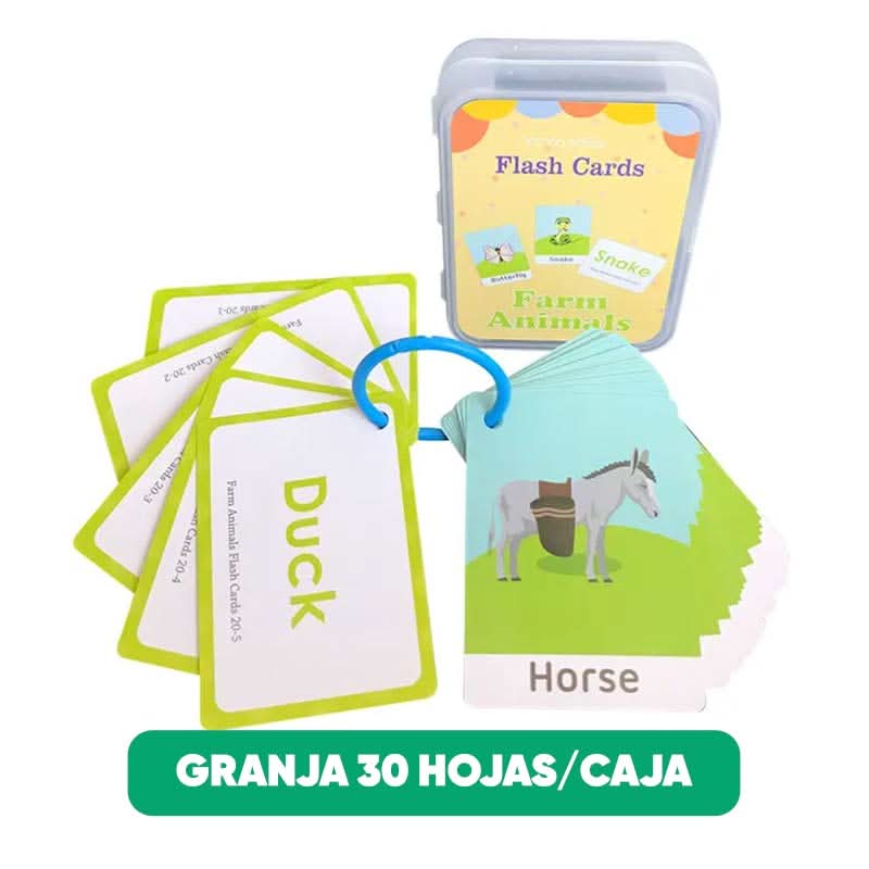 Pack de 5 Tarjetas de Aprendizaje en Inlges para Niños