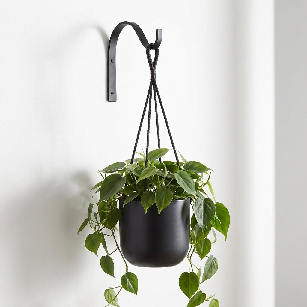 Paquete de 4 ganchos de pared de hierro para colgar