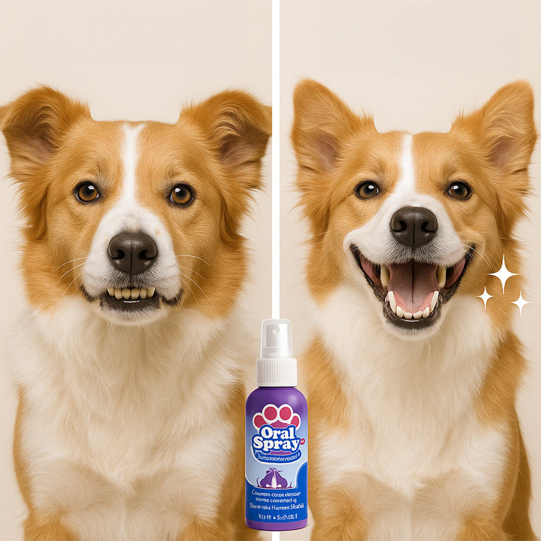 Pulverizador Bucal para Cuidado de Mascota