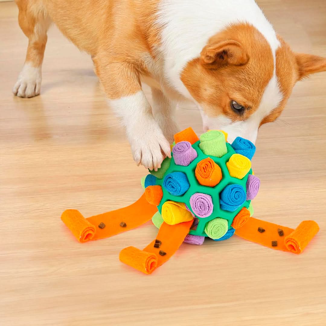 Juguete Interactivo para Mascotas con Forma de Pelota