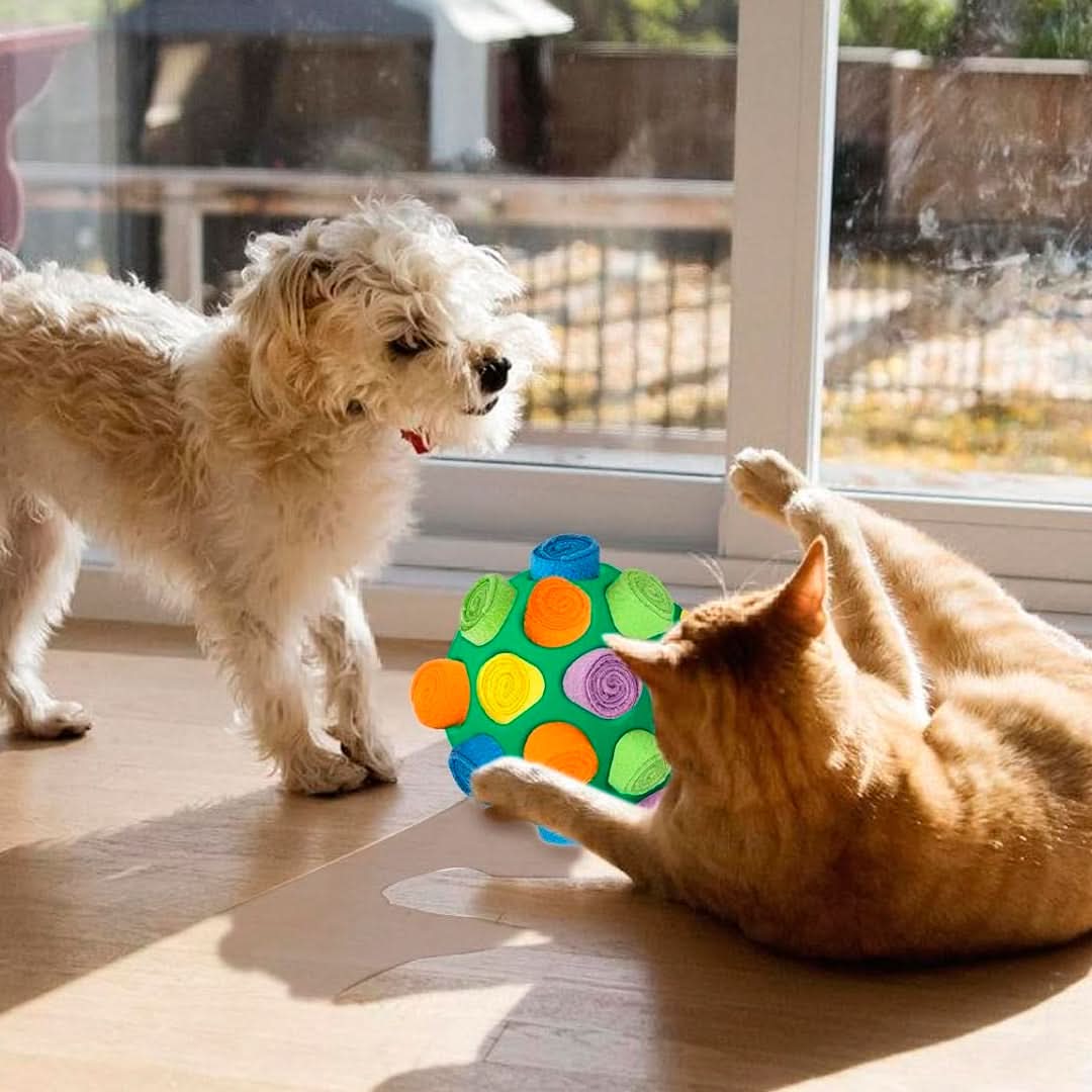 Juguete Interactivo para Mascotas con Forma de Pelota