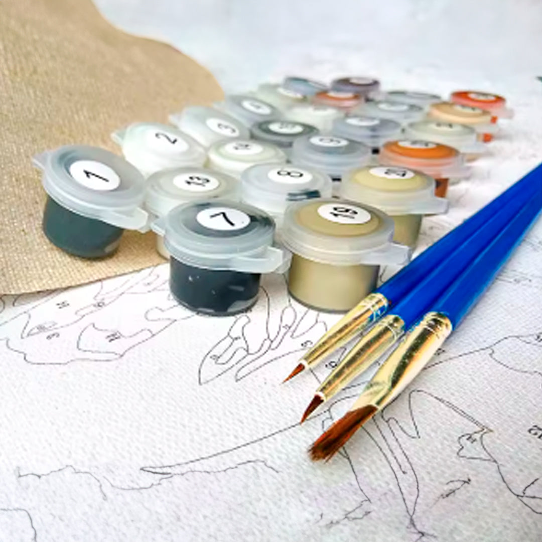 Kit de Bricolaje para Colorear Pinturas y Lienzos