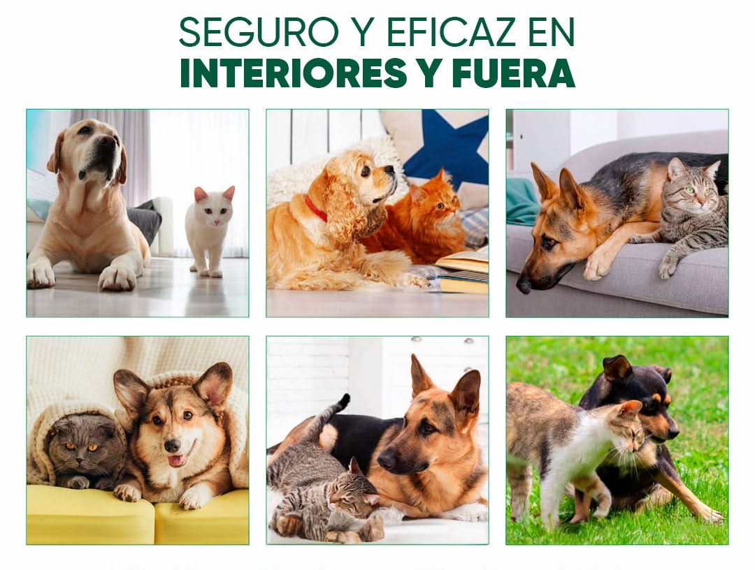 Repelente de Pulgas y Garrapatas Formula Natural