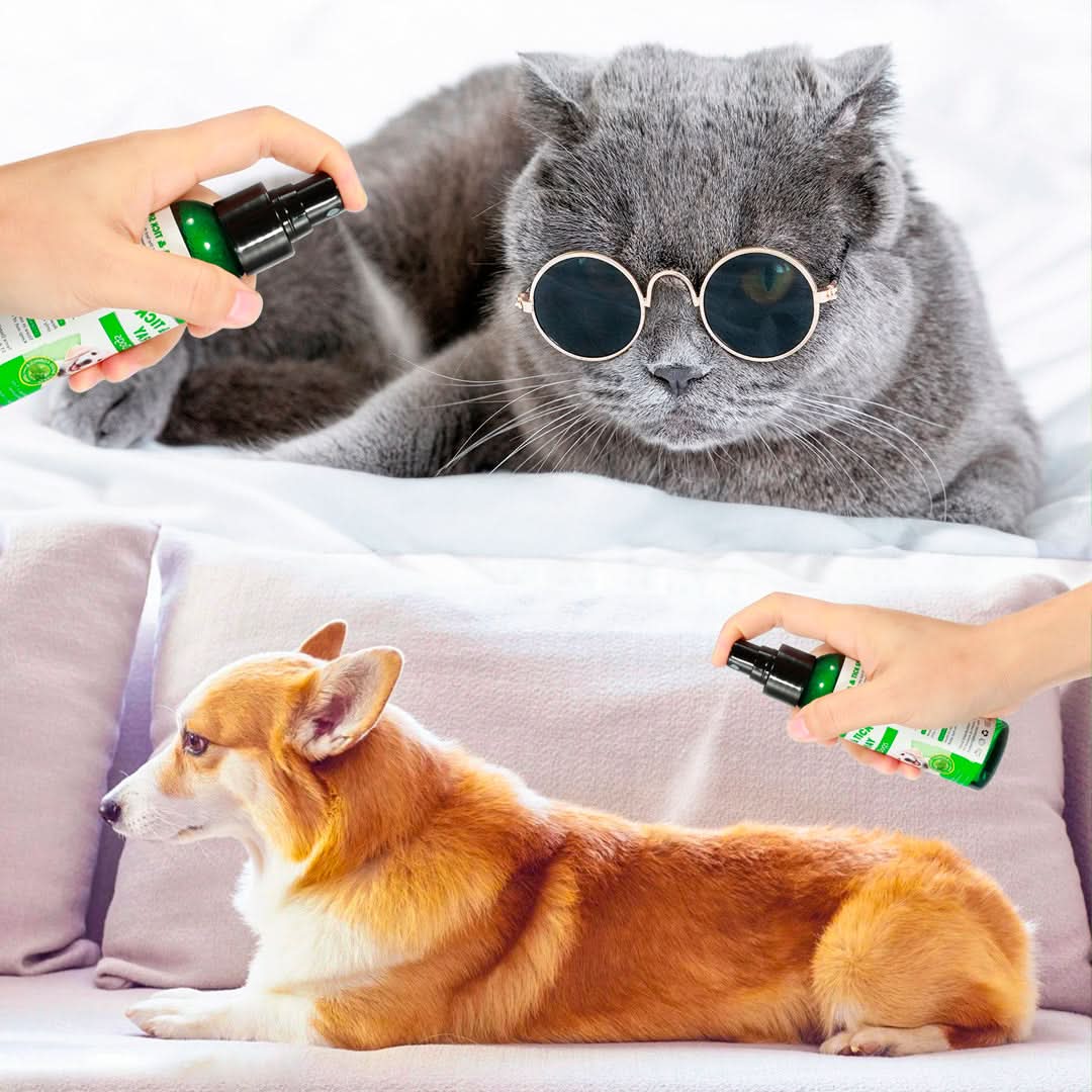 Repelente de Pulgas y Garrapatas Formula Natural