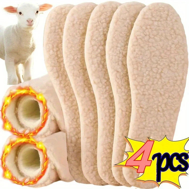 Oferta Compras 3 plantillas Corderito y te llevas 1 de Regalo