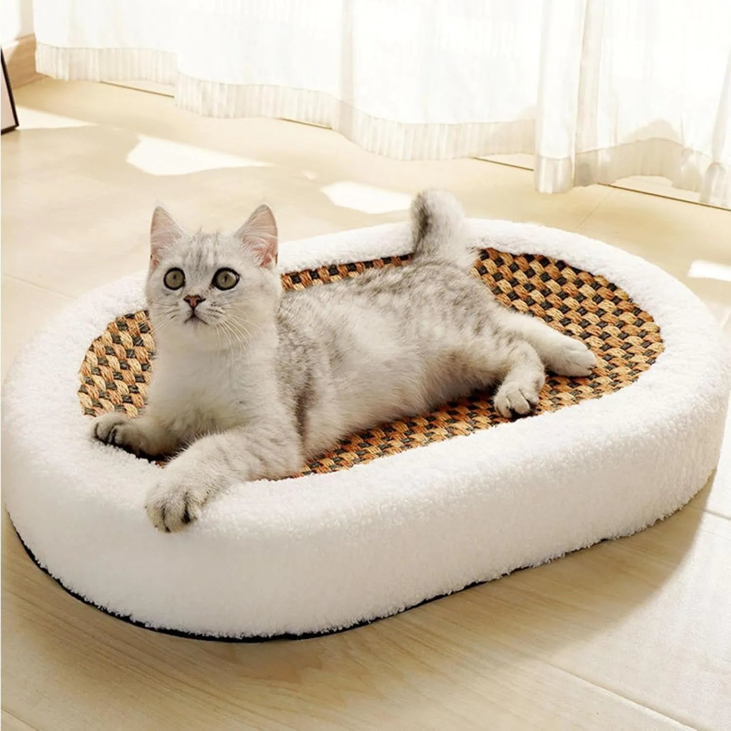 Cama Rascador 2 en 1 para Gatos Oval