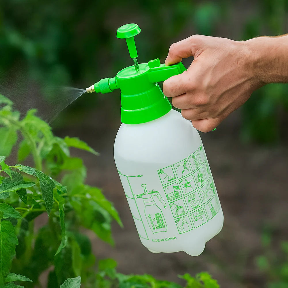 Oferta pack de 4 Pegapiedra + Aplicador de Regalo