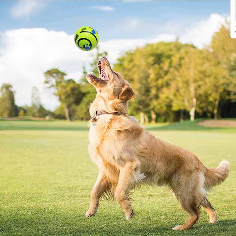 Pelota Interactiva para Mascotas con Sonido