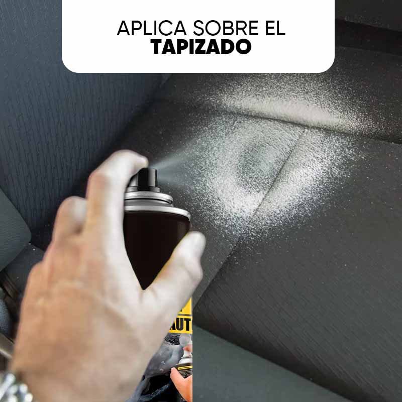 Limpiador en Espuma para Auto Leisel 500ml