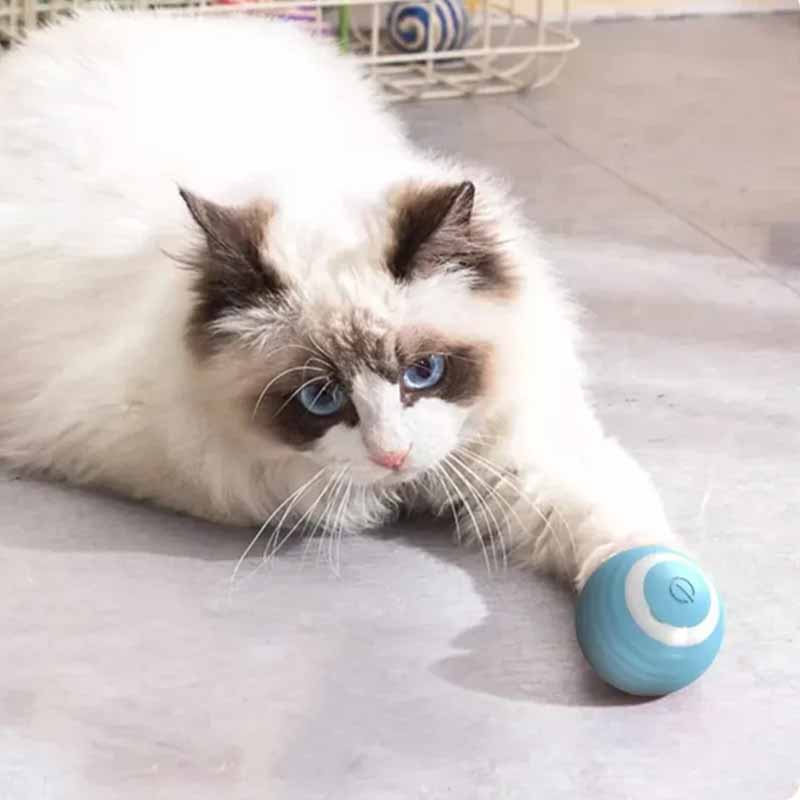 Juguete Pelota Eléctrica con Rebote Automático MimoPaws