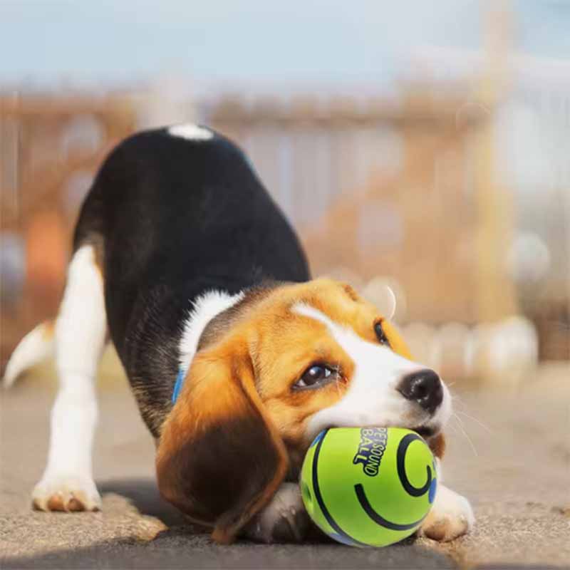 Pelota Interactiva para Mascotas con Sonido