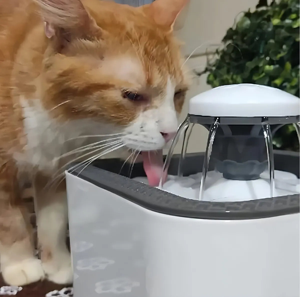 Fuente Bebedero Cuadrado para mascotas con 2 Filtros de Rega