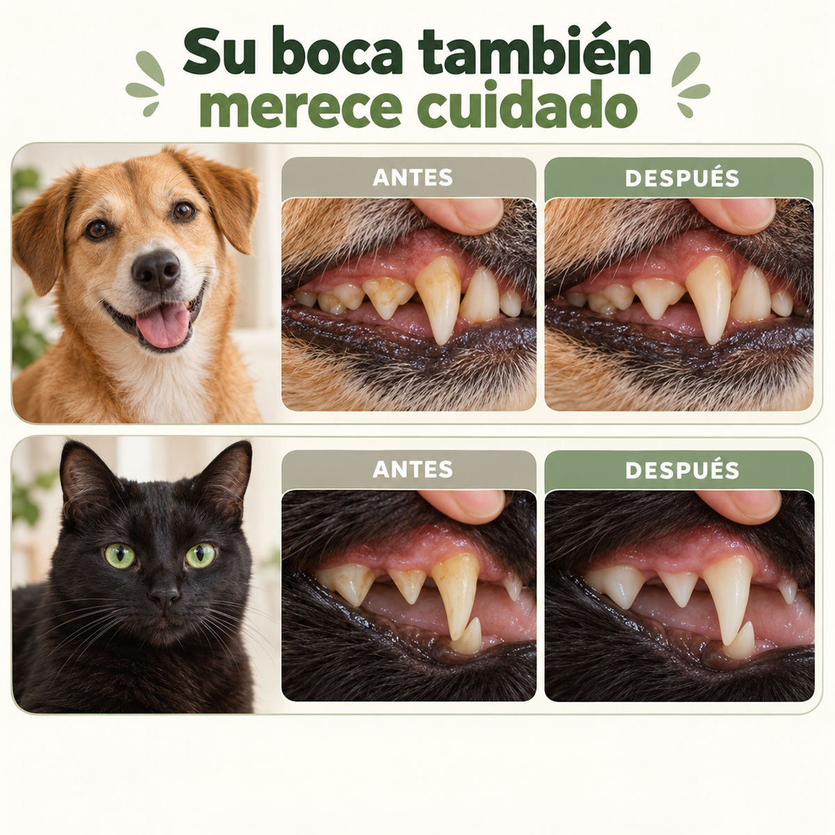 Pulverizador Bucal para Cuidado de Mascota