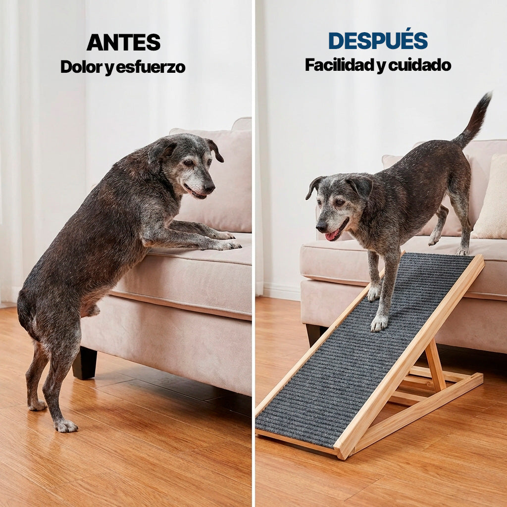 Rampa Plegable para Mascotas de Altura Ajustable