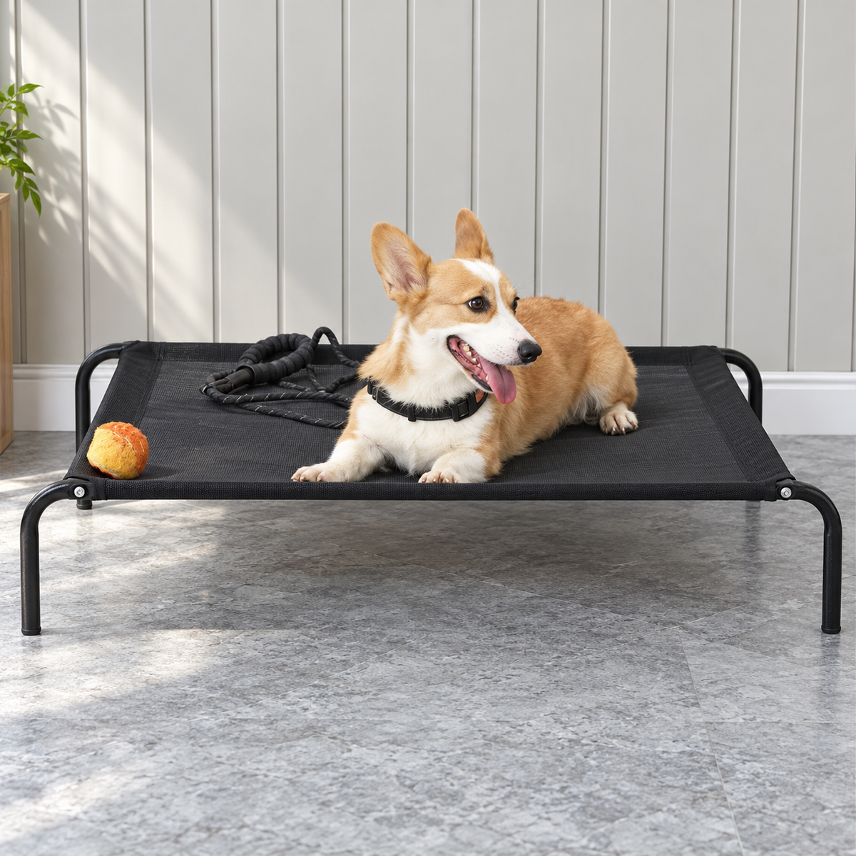 Cama Elevada del Suelo para Mascotas